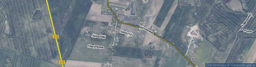 Zdjęcie satelitarne Nasturcji ul.